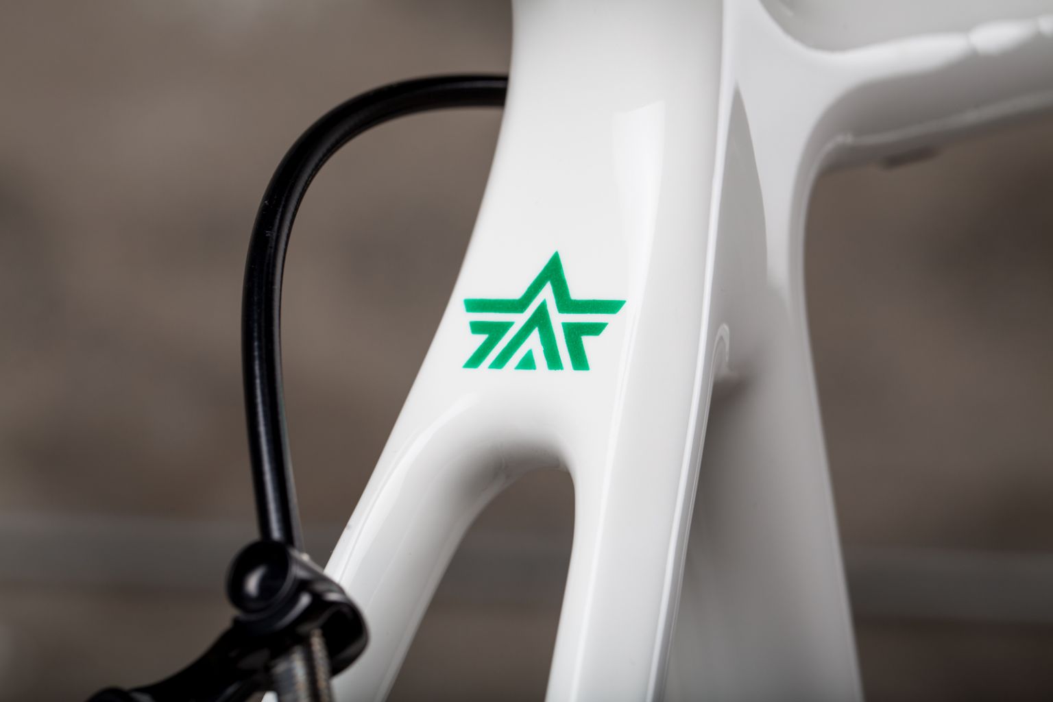 Argonaut Custom Carbon bicycle frame details