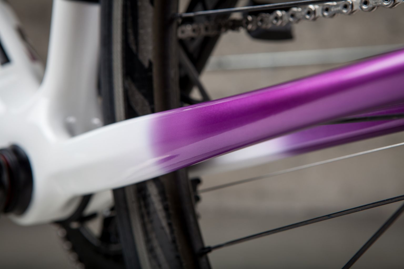 Argonaut custom carbon bicycle paint details