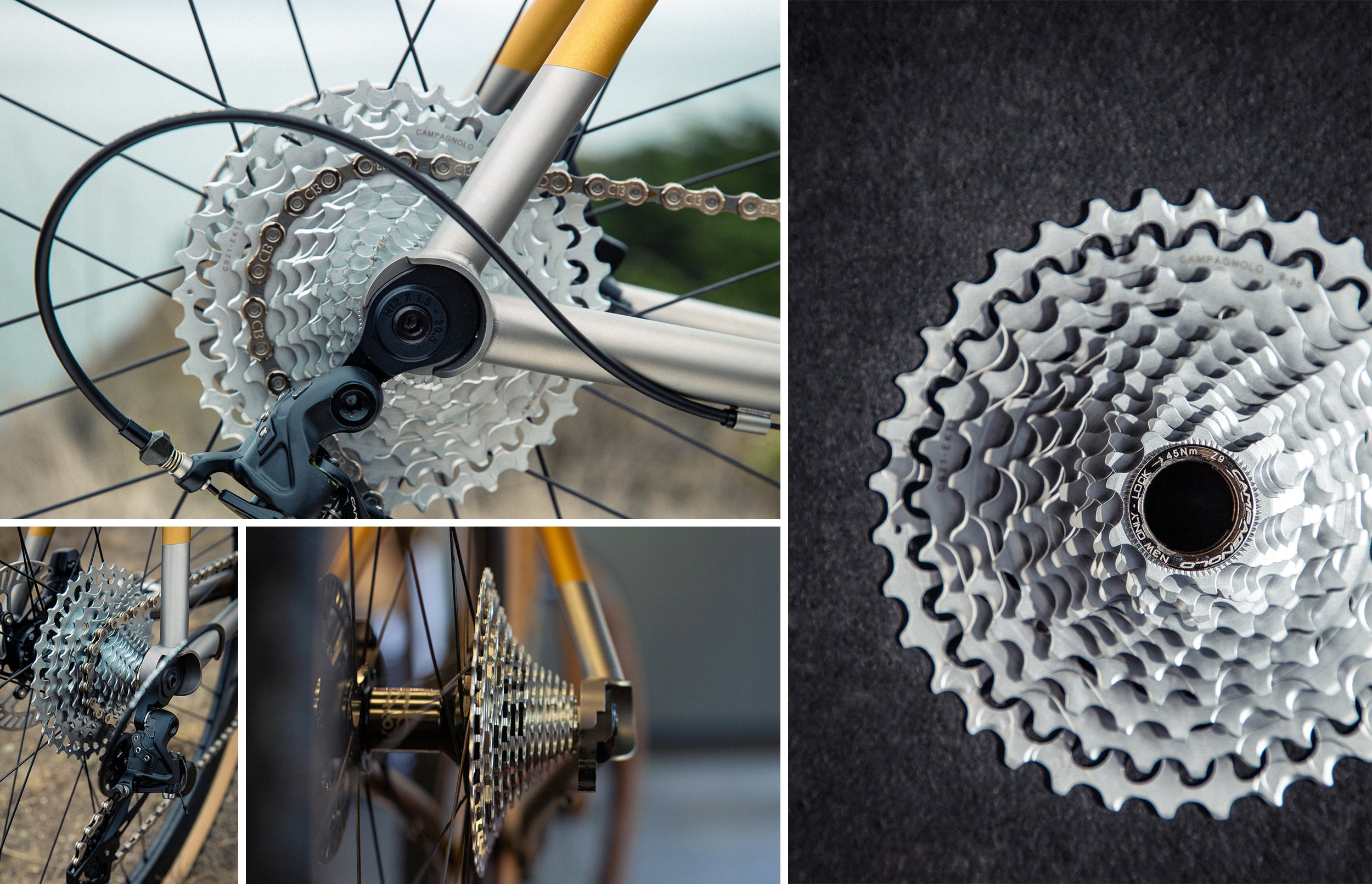 campagnolo ekar cassette