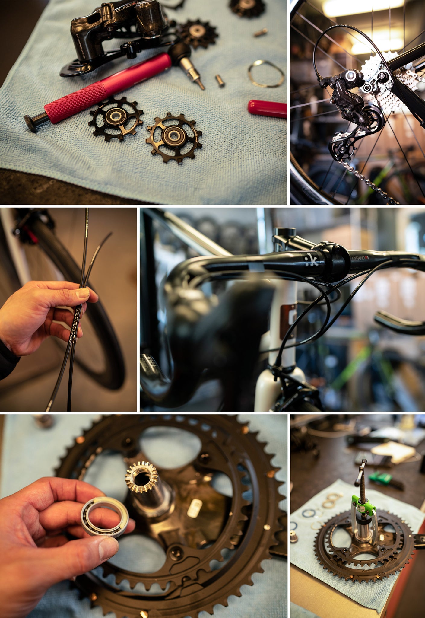 pegoretti campagnolo process