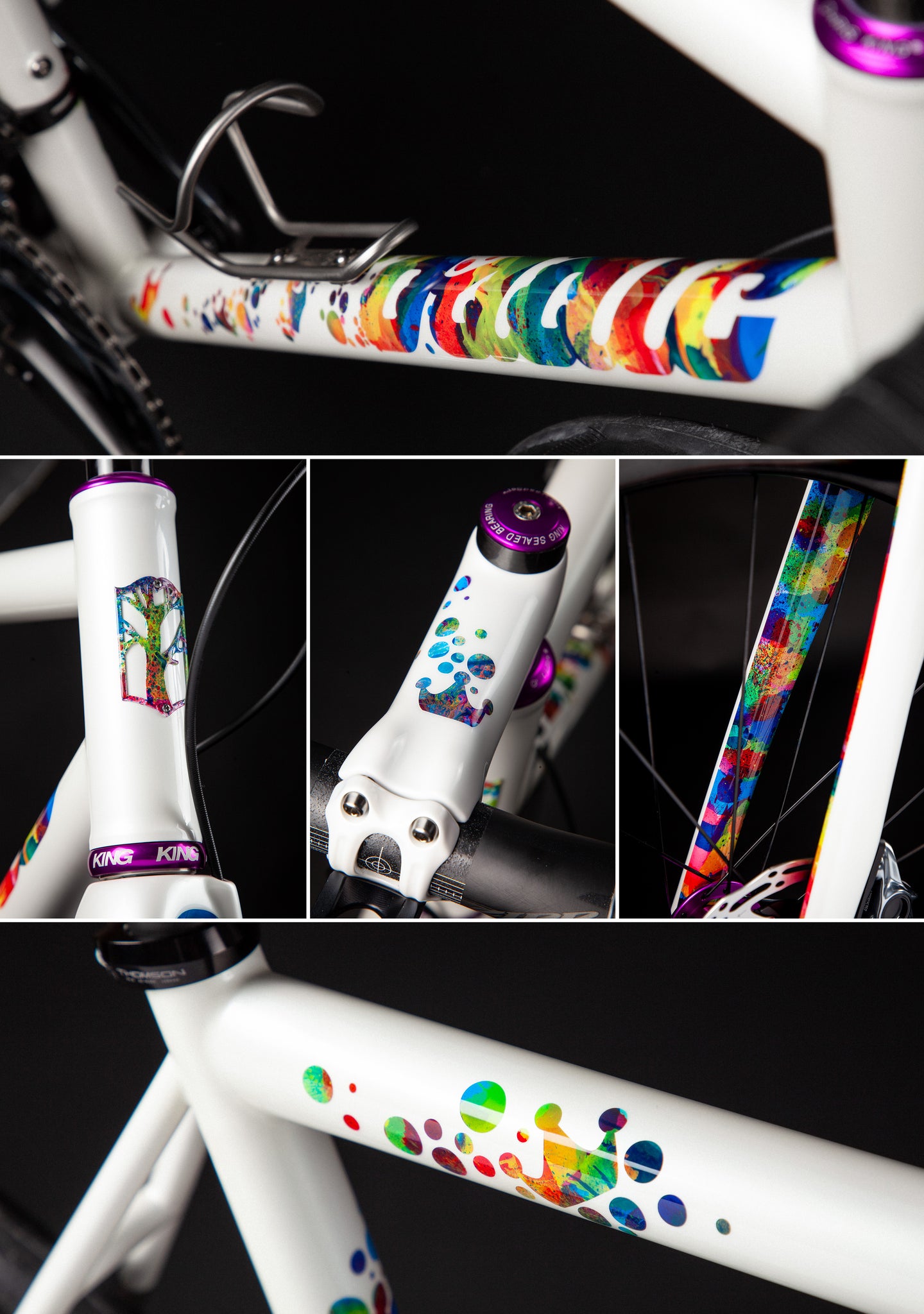 mosaic RT-1d Prismatica titanium road bike paint details