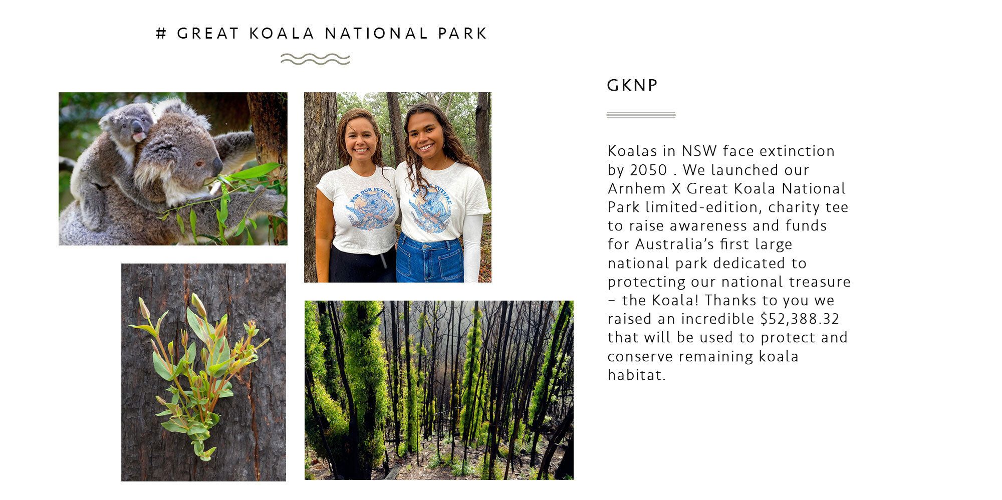 Great Koala National Park