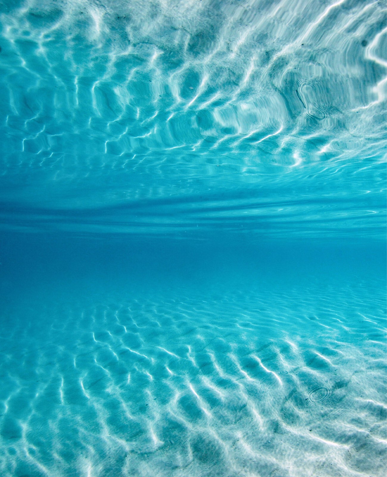 Underwater shot by Environmental Science Student and underwater photographer Tarni for Arnhem Byron Bay