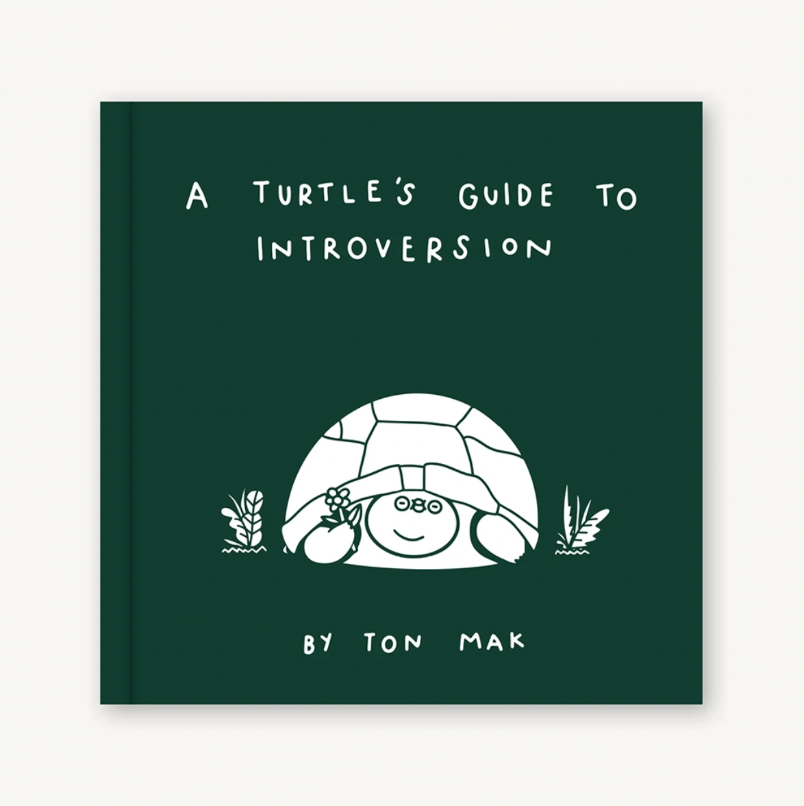 A Turtle's Guide to Introversion