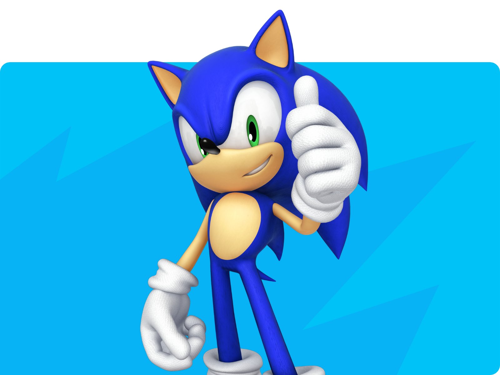 sonic the hedgehog character