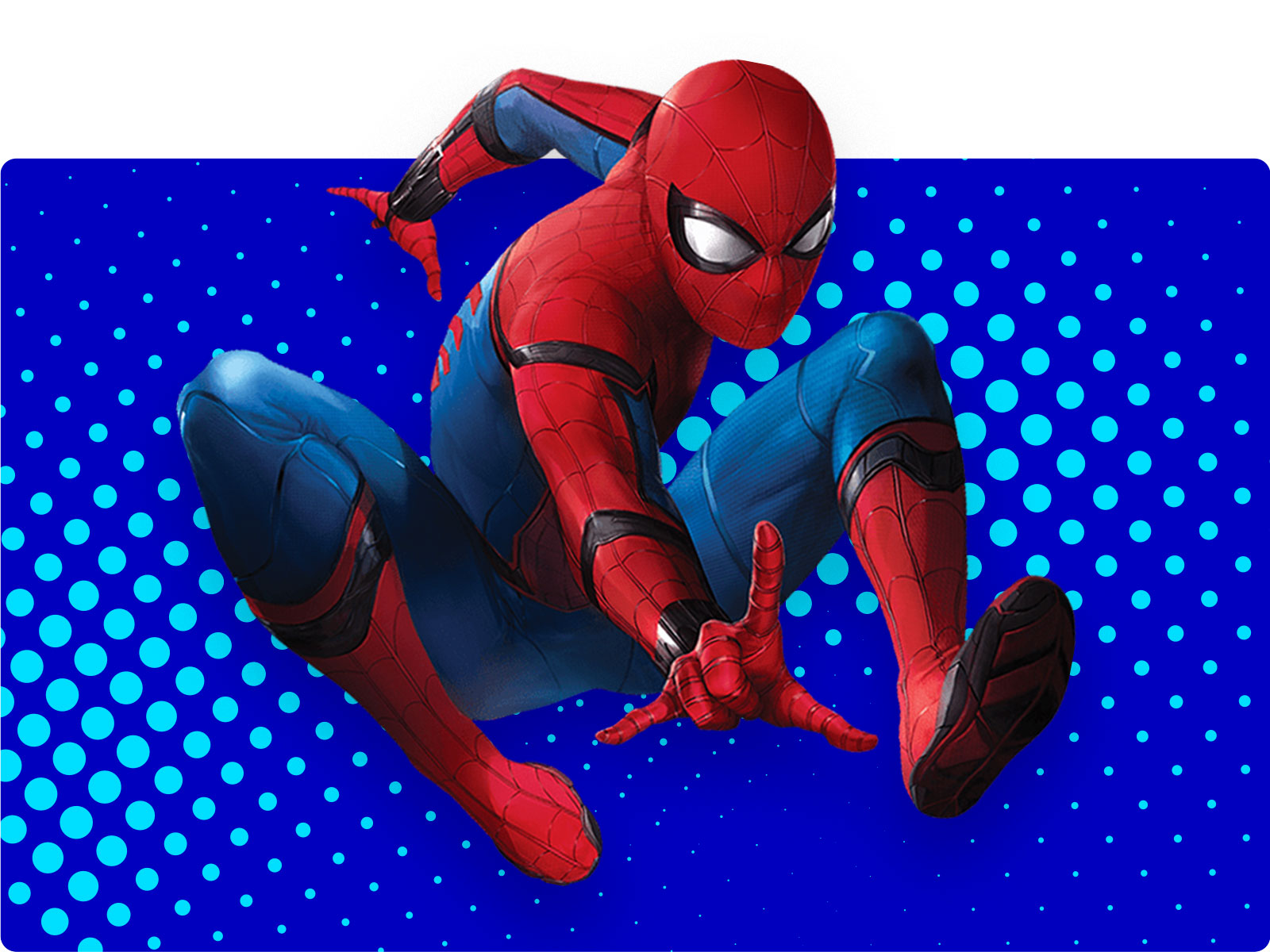Spiderman Matching Underwear -  UK