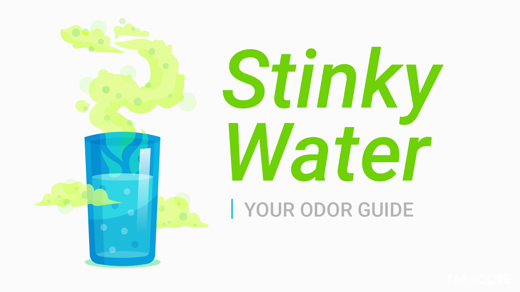 stinky water from bathroom sink
