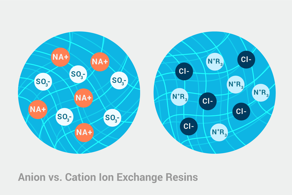 Anion versus Cation Exchange Resins