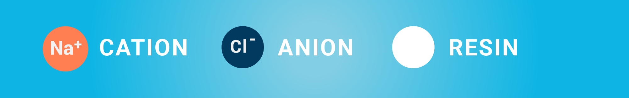 Cation versus Anion