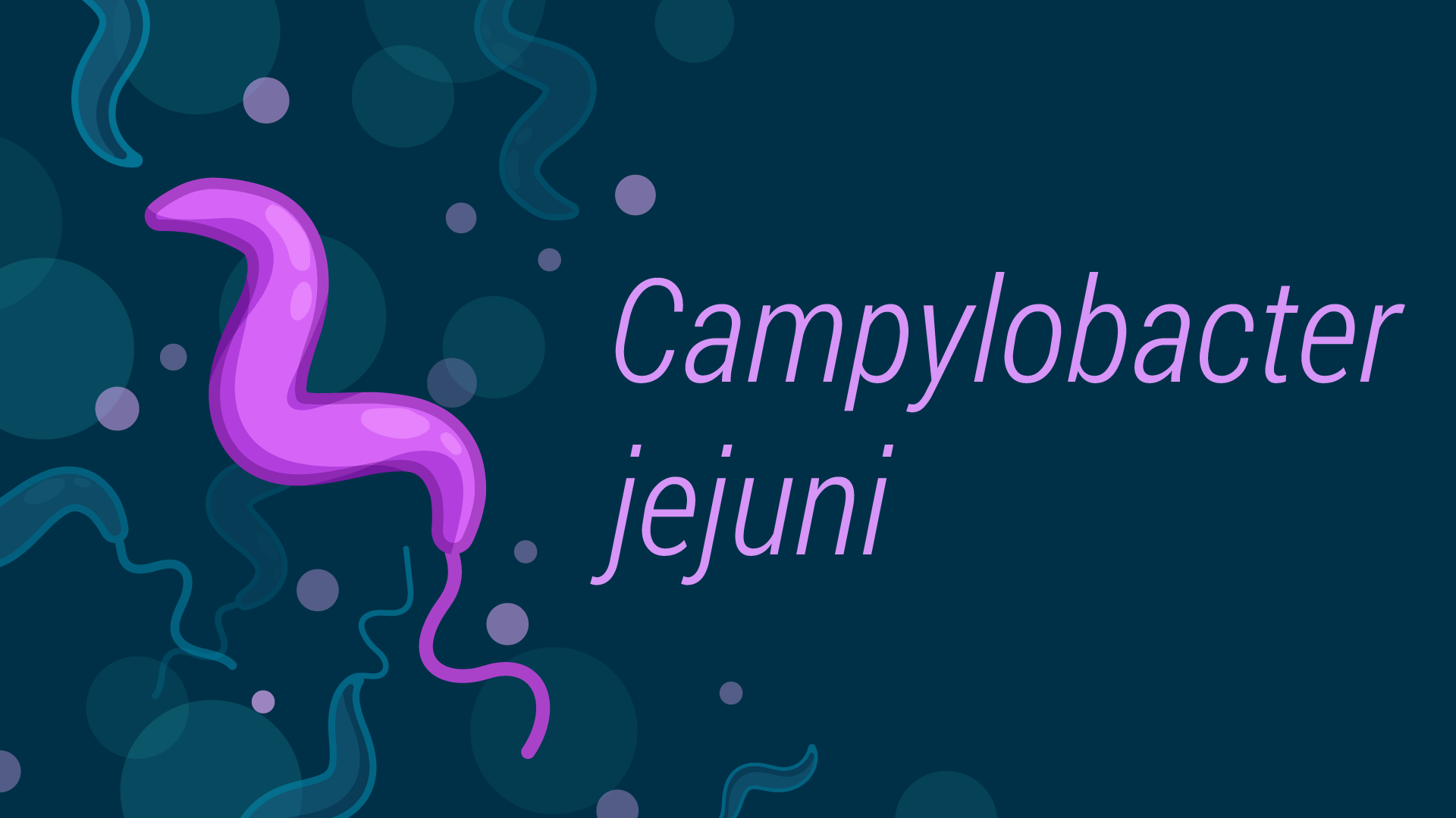 Campylobacter Jejuni Bacteria in Drinking Water