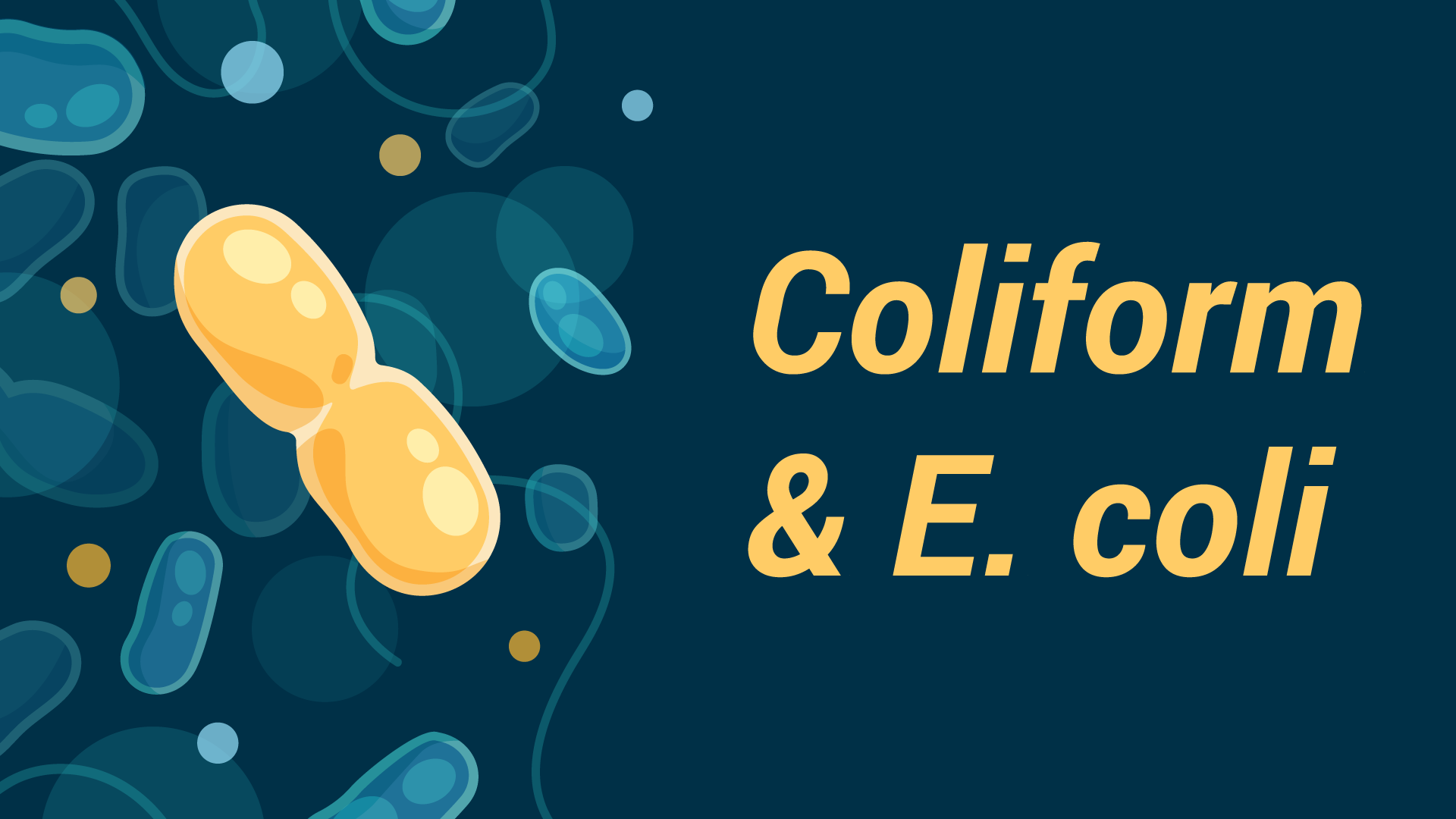 E. coli bacteria in Drinking Water