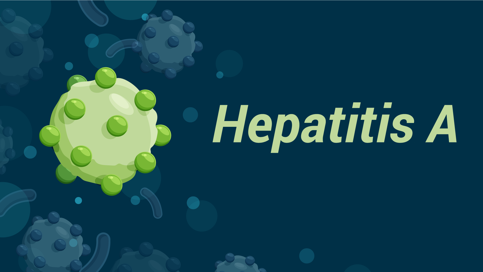 Hepatitis A Virus in Drinking Water