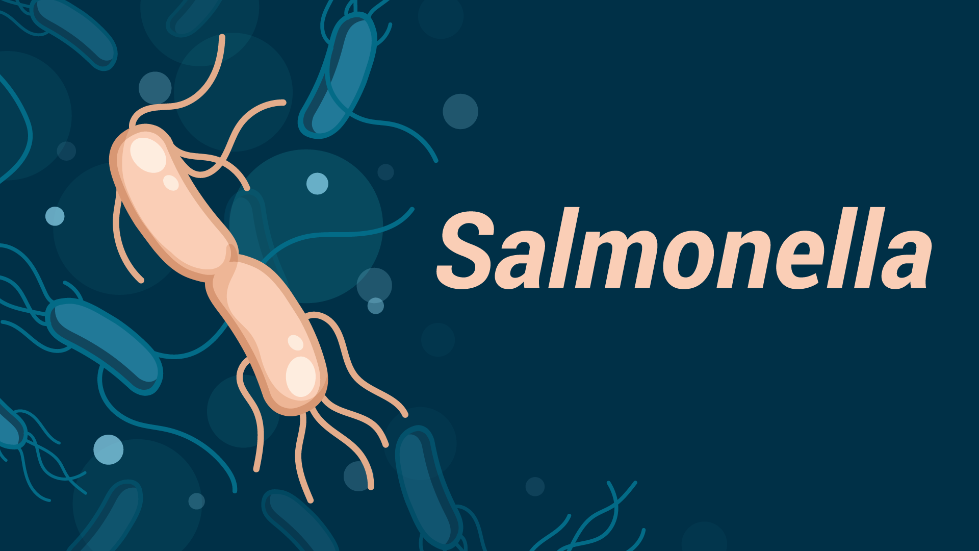 Salmonella Bacteria in Drinking Water