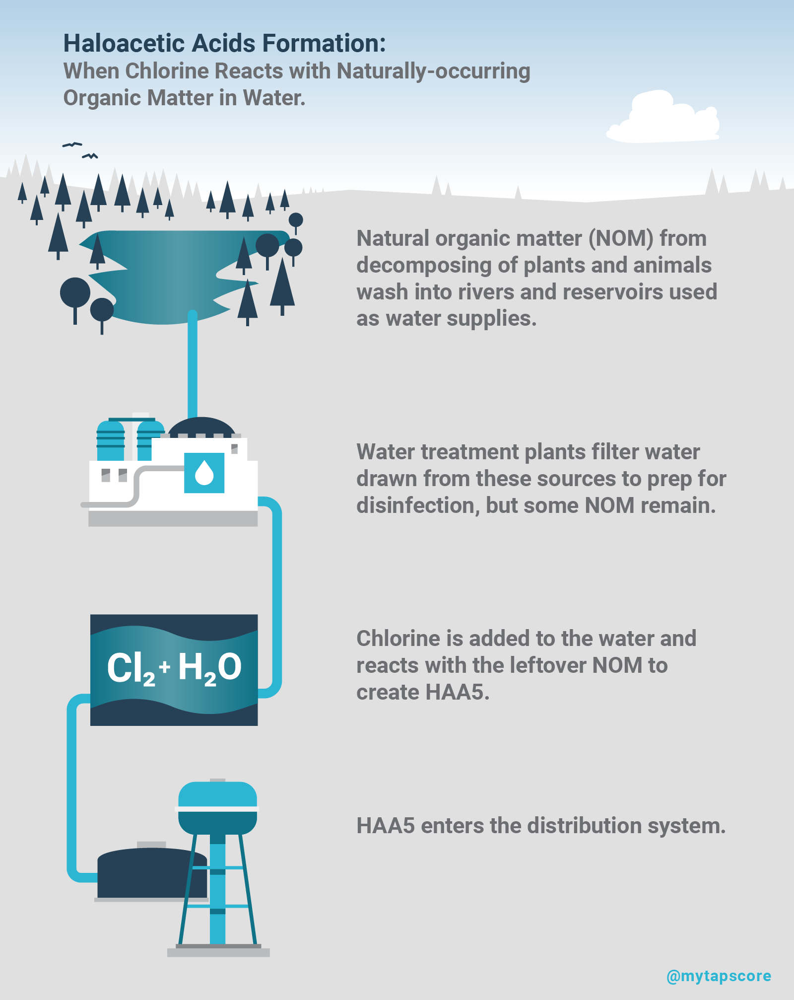 Haloacetic Acids in Water Infographic