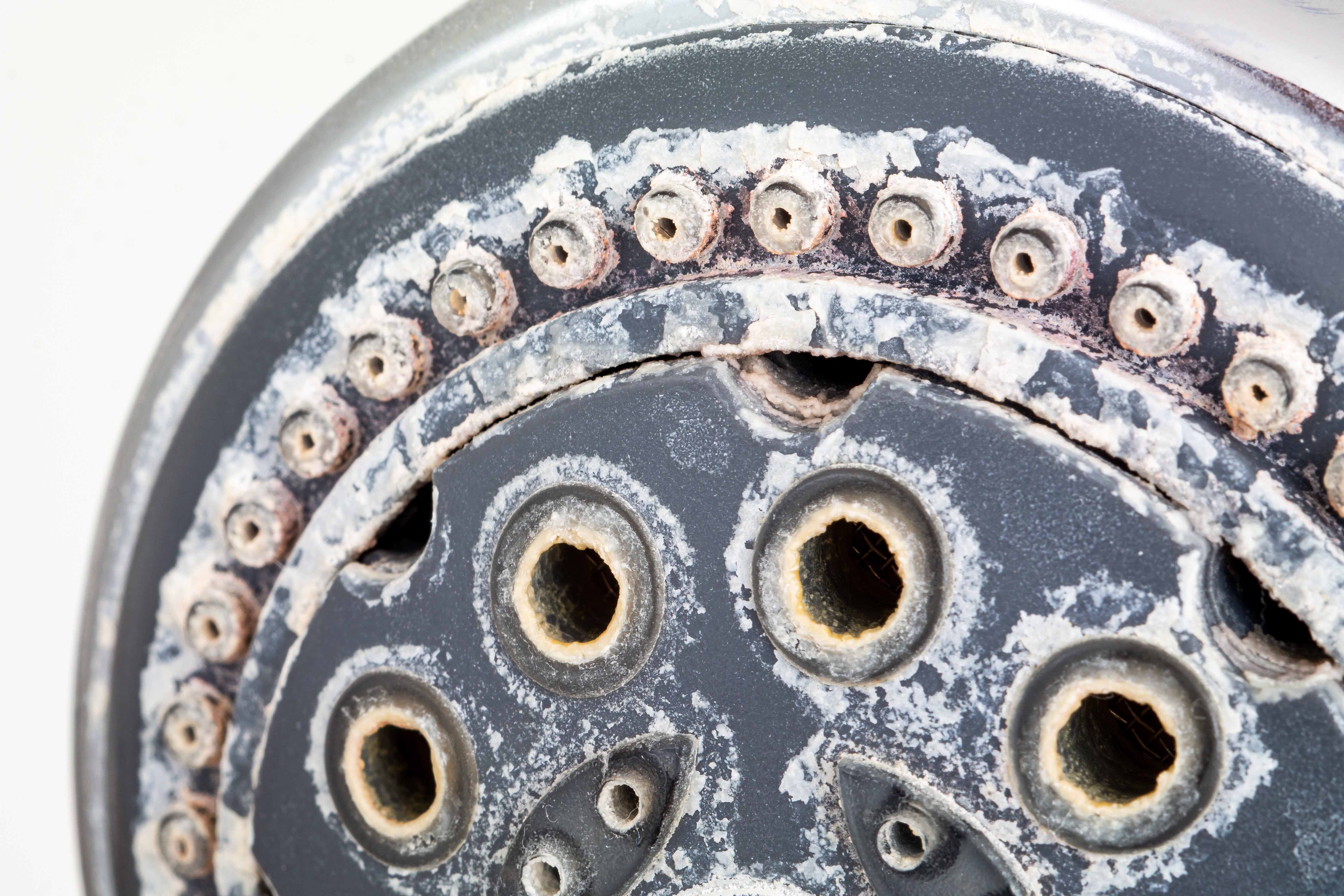 White buildup limescale on shower head