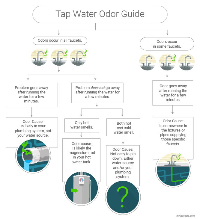 Stinky Water Your Odor Guide Simplewater Tap Score