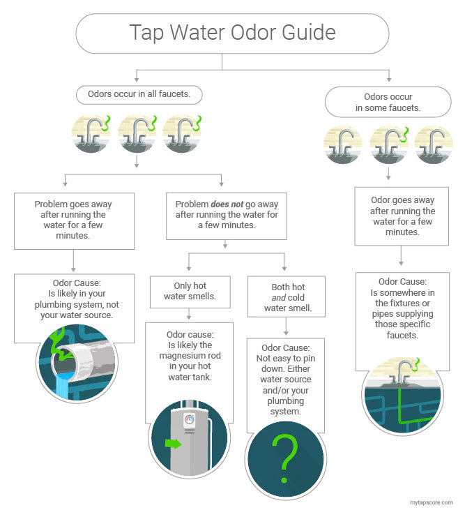 tap water odor source guide
