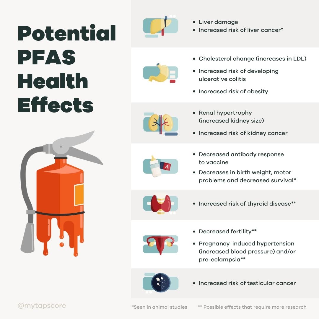 PFAS potential health effects