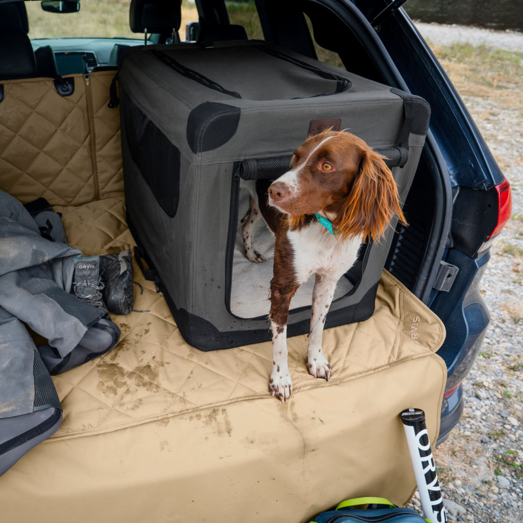 orvis-hose-off-folding-travel-crate