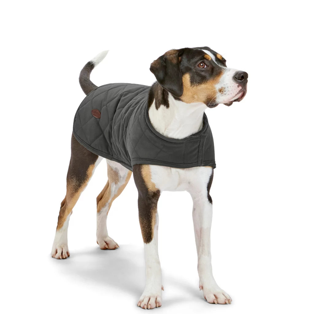 orvis-quilted-waxed-dog-coat