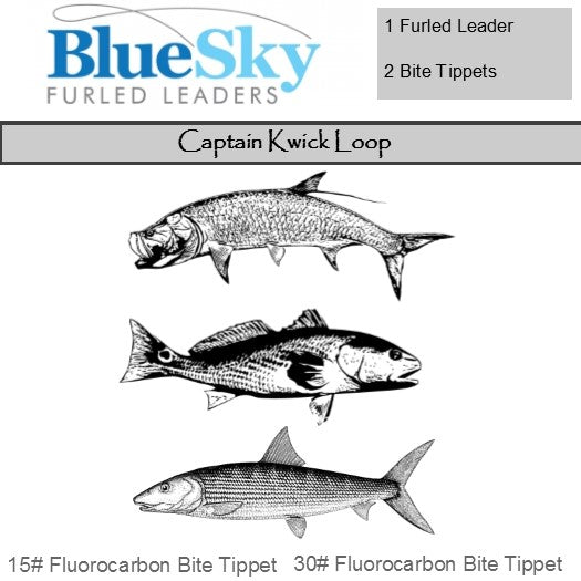 bluesky-captain-kwick-loop-7-weight-fly-line-and-up-1
