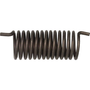 campagnolo-upper-bolt-and-springs-2