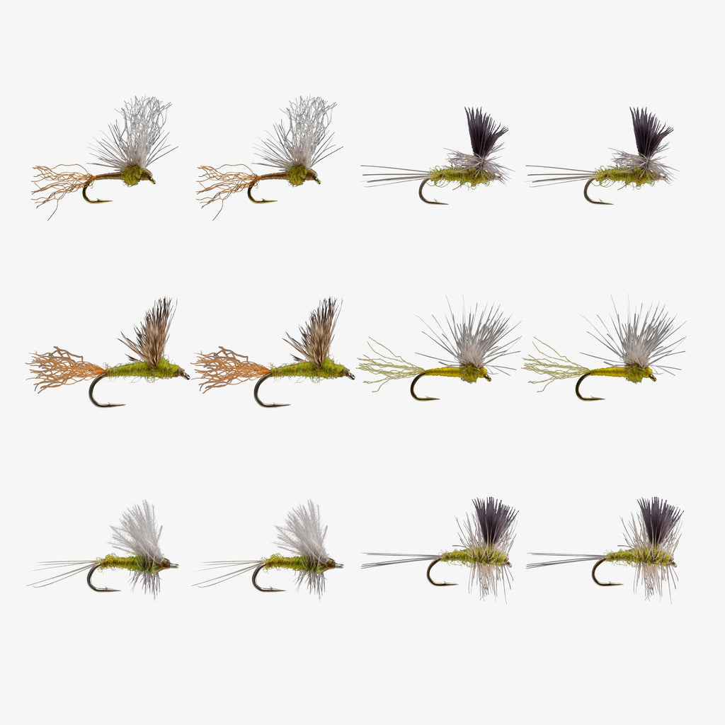 rio-bwo-dry-fly-assortment