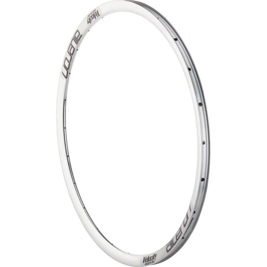 velocity-aileron-rim-700-disc-polished-24h-clincher