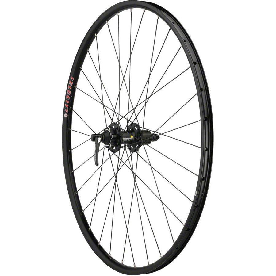 quality-wheels-mountain-disc-rear-wheel-29-32h-xt-m756-velocity-blunt-sl-dt-competition-all-black