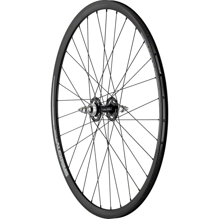 quality-wheels-track-rear-wheel-700c-32h-all-city-fixed-free-alex-race-dt-champion-all-black