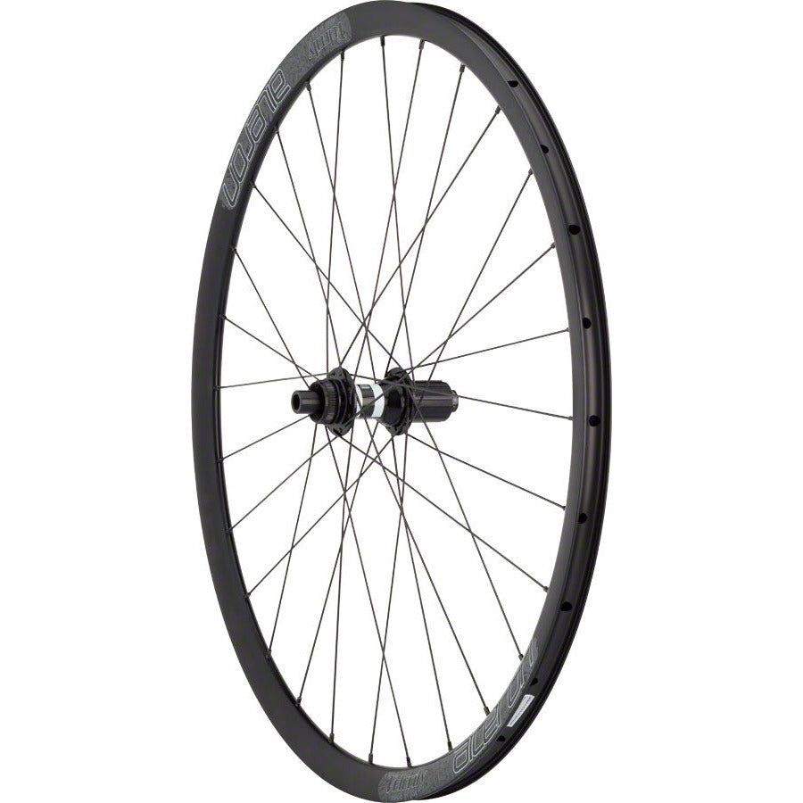 quality-wheels-road-disc-rear-wheel-700c-velocity-aileron-black-dt-350-142mm-x-12mm-and-135mm-qr-convertible-dt-competition-28h-black