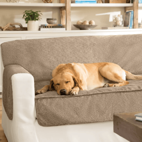 https://cdn.shopify.com/s/files/1/1236/0188/products/orvis-orvis-grip-tight-furniture-protector-home-collection-brown-tweed-sofa-30646899671213.png?v=1634147892&width=460