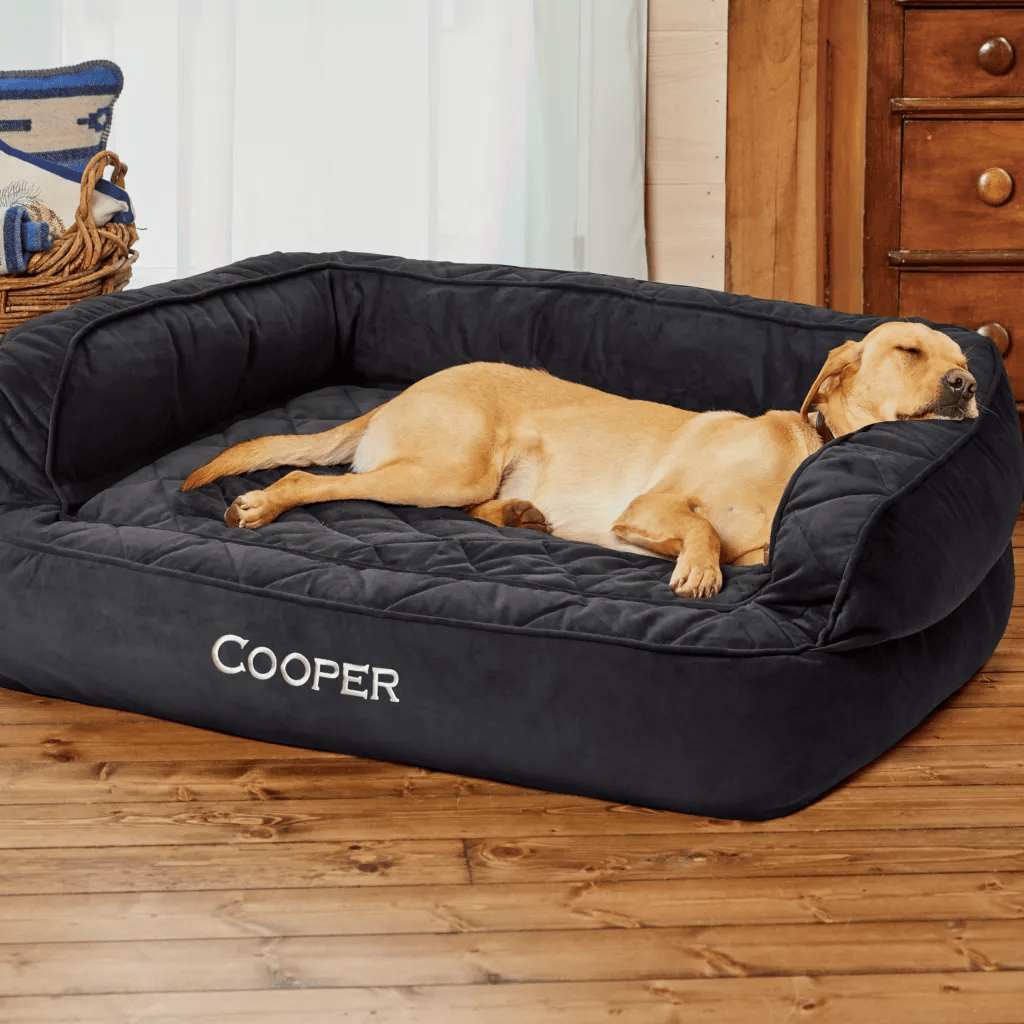 orvis-memory-foam-couch-dog-bed