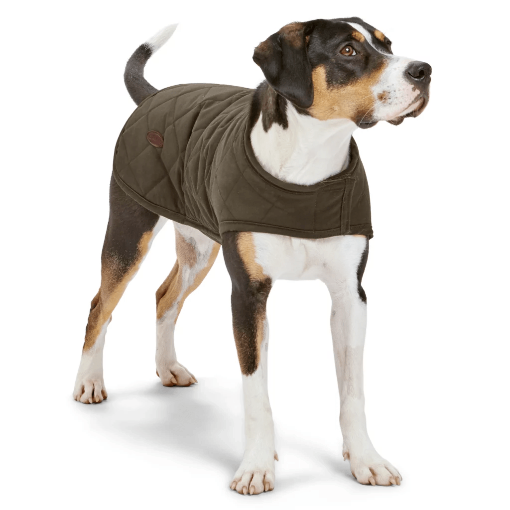 orvis-quilted-wax-cotton-dog-coat