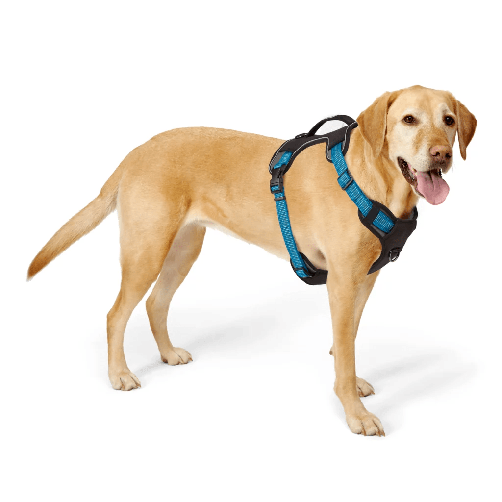 orvis-tough-trail-harness