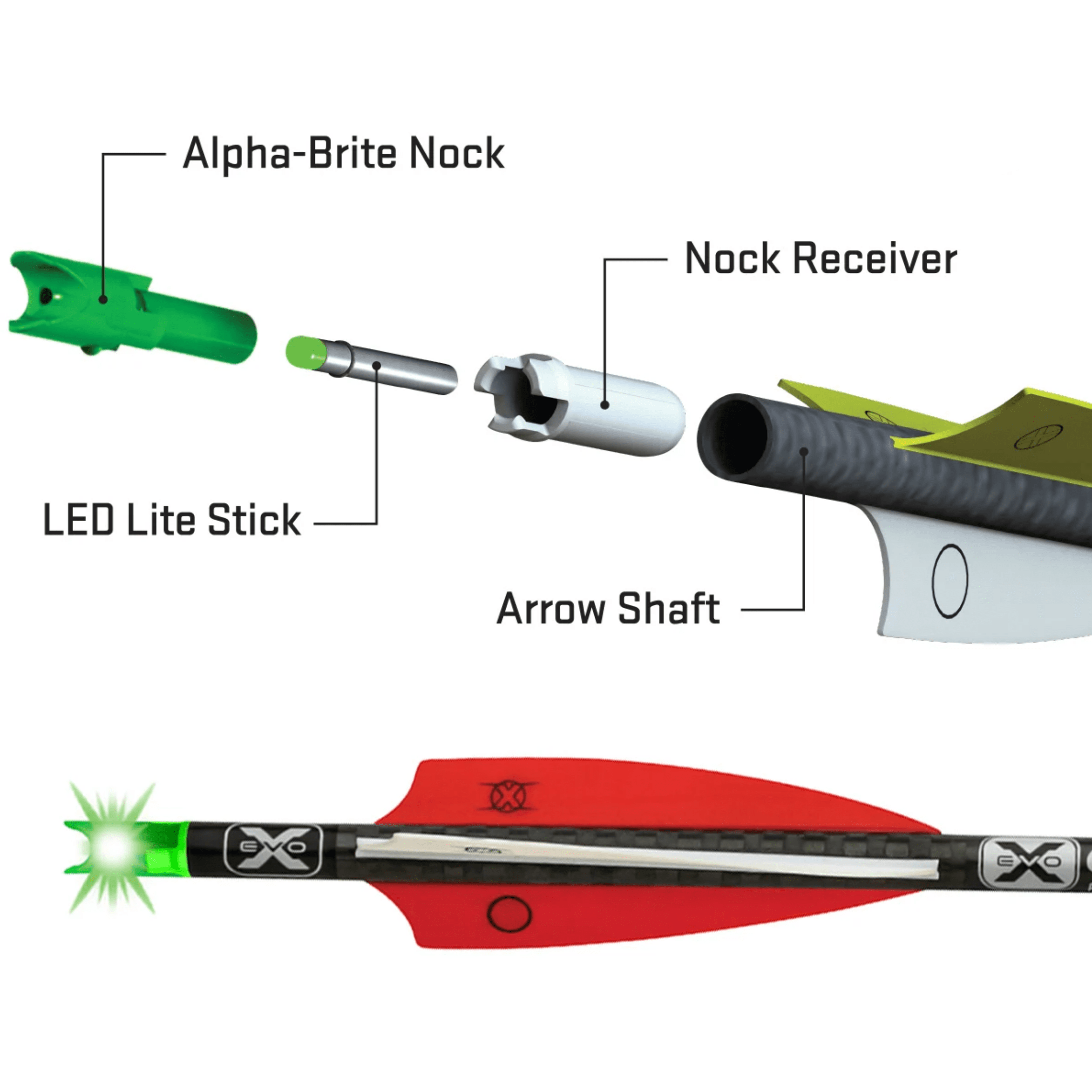 TenPoint Alpha-Brite Lighted Nock System (3-pack)