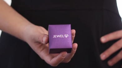 JEWELv-jewelry-box