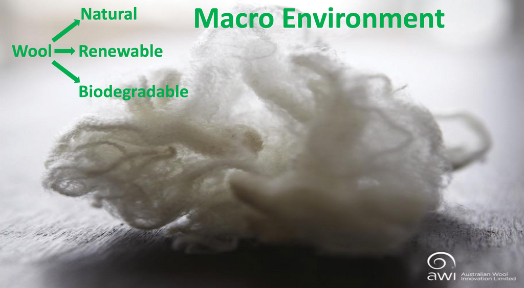 Merino wool clothing is natural, biodegradable & renewable. In other words, it is sustainable.