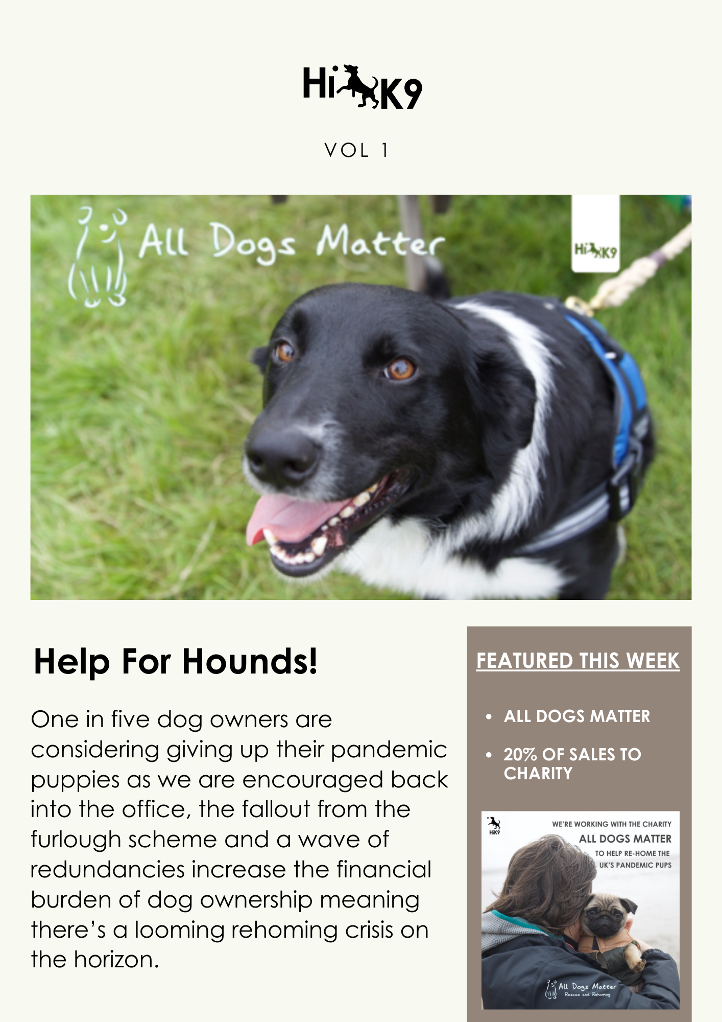 help for dogs hik9 charity