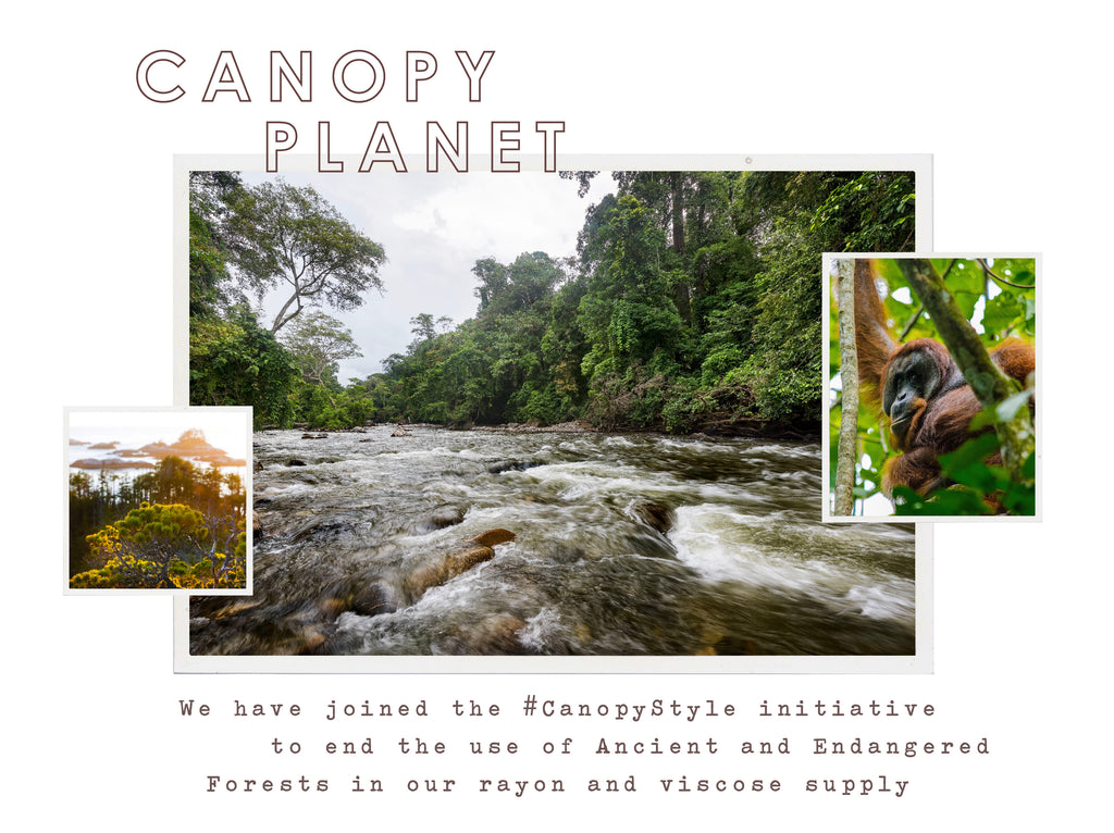 We have joined the #CanopyStyle initiative to end the use of Ancient and Endangered Forests in our rayon and viscose supply.