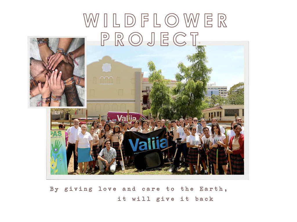 Wildflower Project. By giving love and care to the Earth, it will give it back.