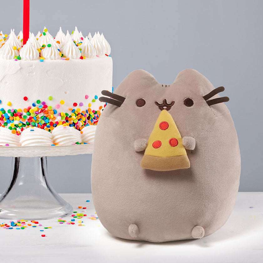 the real pusheen the cat