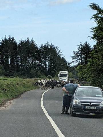 Milking Time Ireland 2021