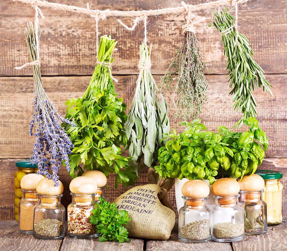 Why should you use products created from bio herbs?