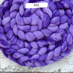 Iris on Polwarth