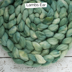 Lambs Ear on BFL 