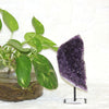 Amethyst Geode $125