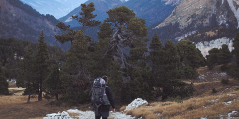 hammocks for backpacking