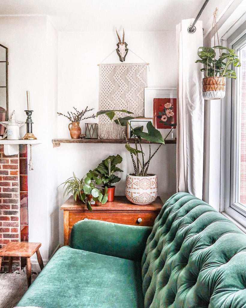 A bright, boho living room with a green velvet sofa, vintage side table and floating wooden shelving. A red floral print is nestled on the shelves amongst the plants and macrame