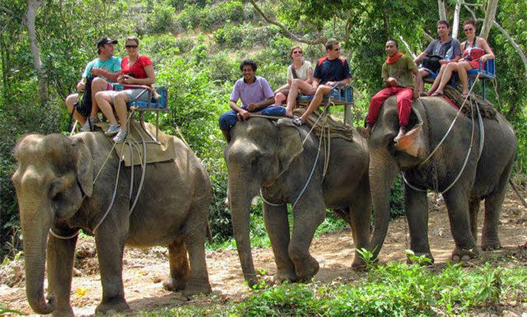 elephant-trekking-krabi_1024x1024.jpg